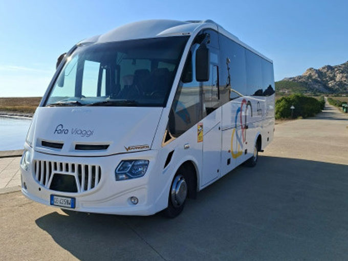Tour guidato in Minibus